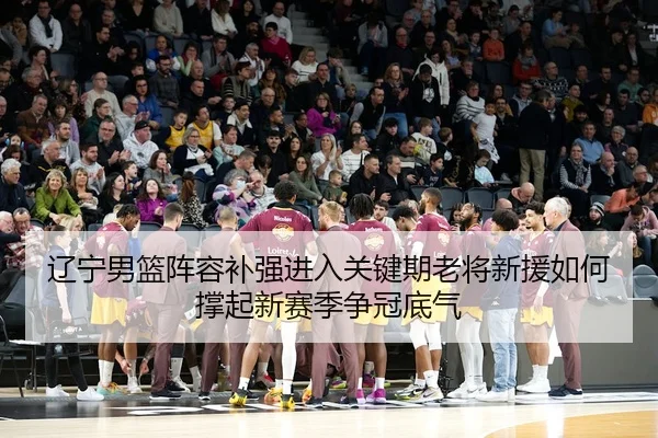 辽宁男篮阵容补强进入关键期老将新援如何撑起新赛季争冠底气